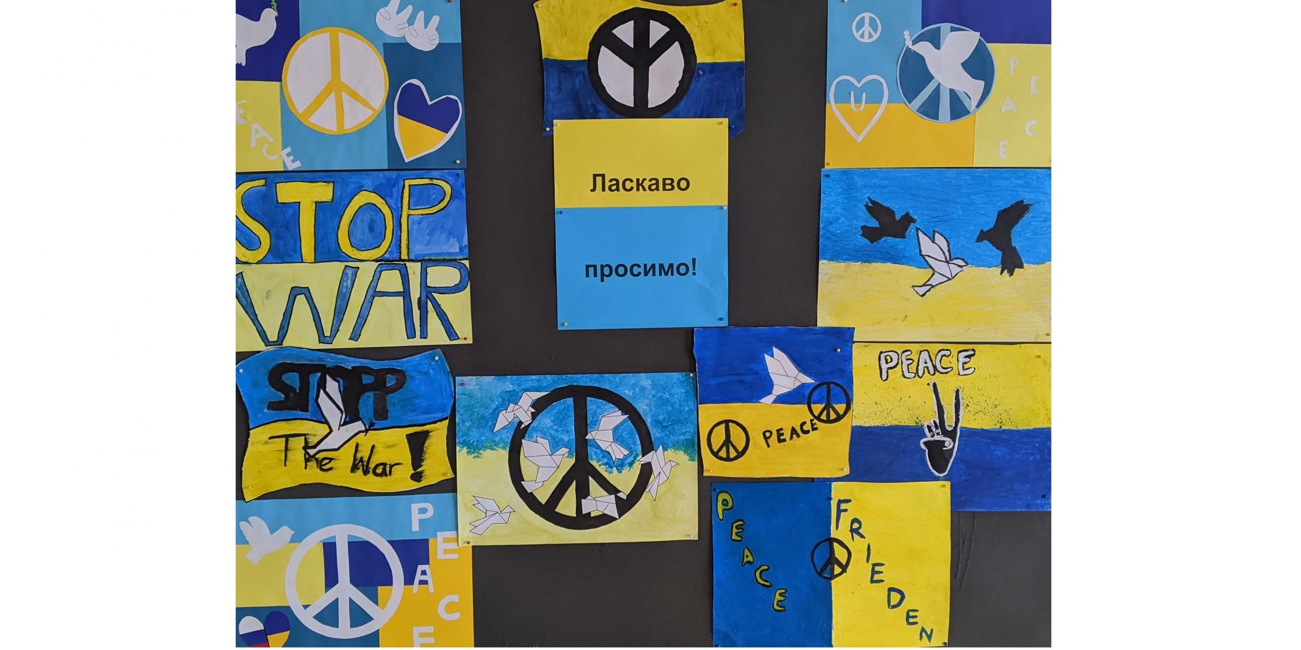 PXL_20220407_045810746 crop 2