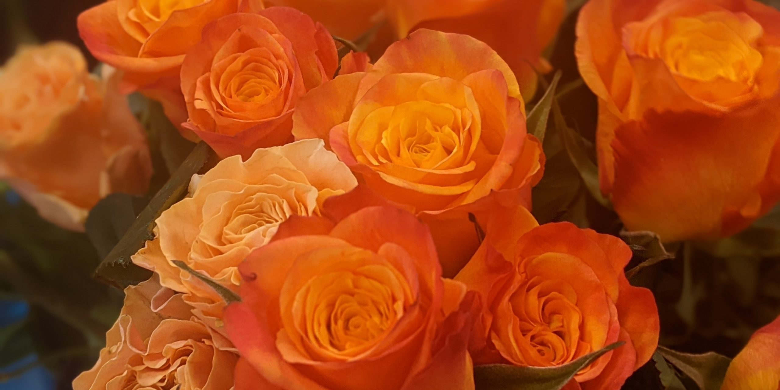 MicrosoftTeams-image (2) (Homepage 2) (1)