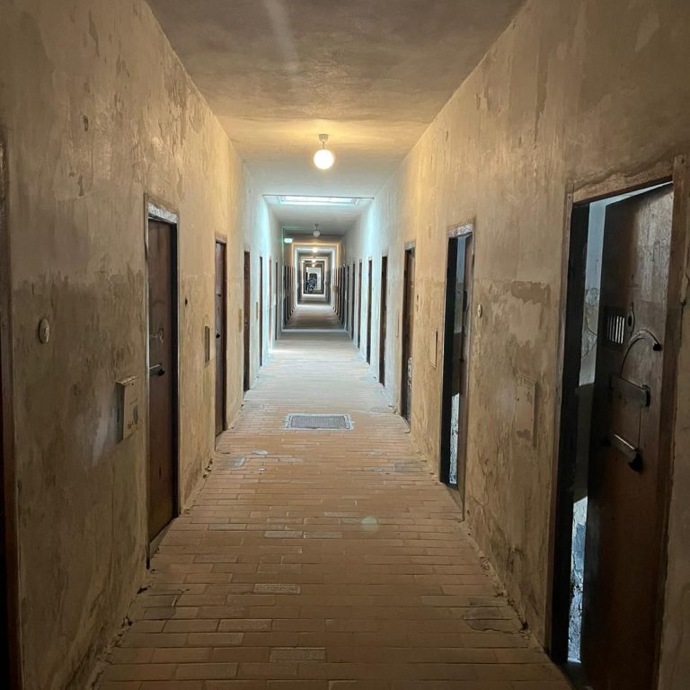 MicrosoftTeams-image (2)