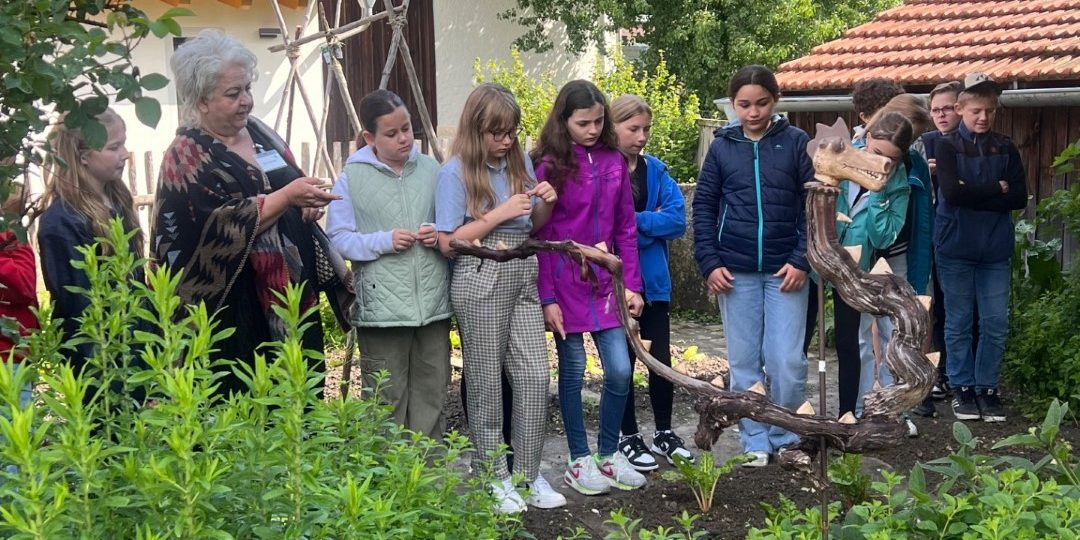 IMG_1790 (1) (Groß)