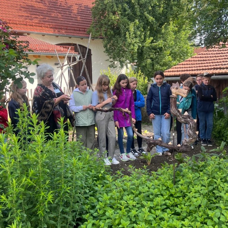 IMG_1790 (1) (Groß)