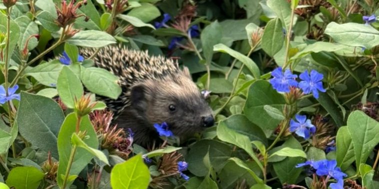 C61F07E1-B438-467E-9958-4DD37CFBA520_1_105_c